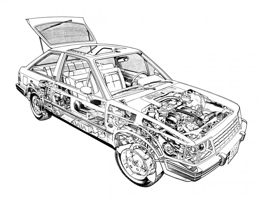  Ford Escort GLX 1981 года  (фото 3 из 3)